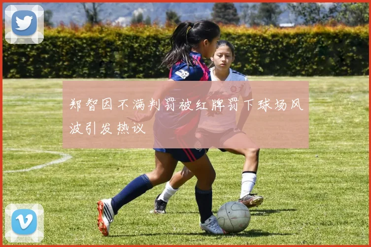 郑智因不满判罚被红牌罚下球场风波引发热议